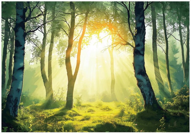 Fototapeta 3D Las Drzewa Natura WALLARENA 300x210 cm Tapeta Do Sypialni Salonu Na Flizelinie 1 szt.