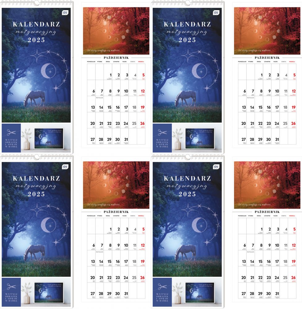4x Kalendarz ścienny 2025, Interdruk, motywacyjny, 220x460mm, magia