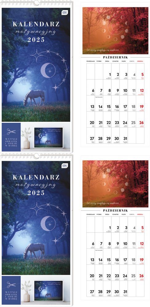 2x Kalendarz ścienny 2025, Interdruk, motywacyjny, 220x460mm, magia