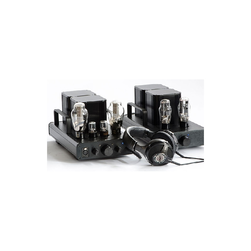 Woo audio wa5 2nd 300b
