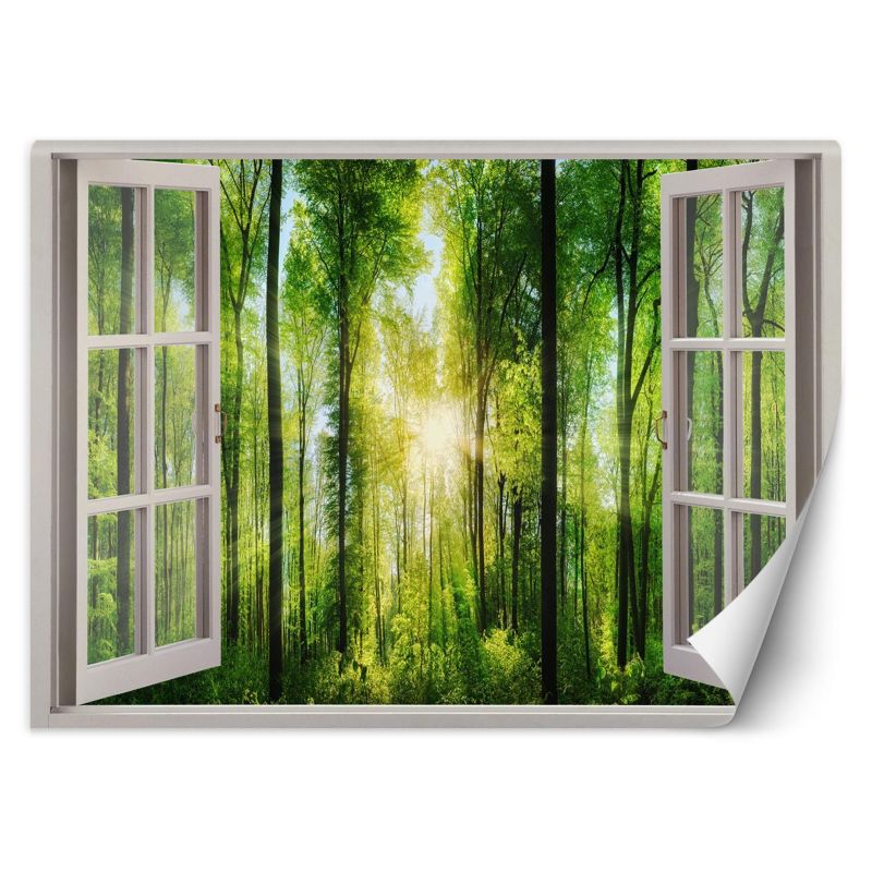 Fototapeta Feeby Widok Okno promienie słońca 210x150 1 szt