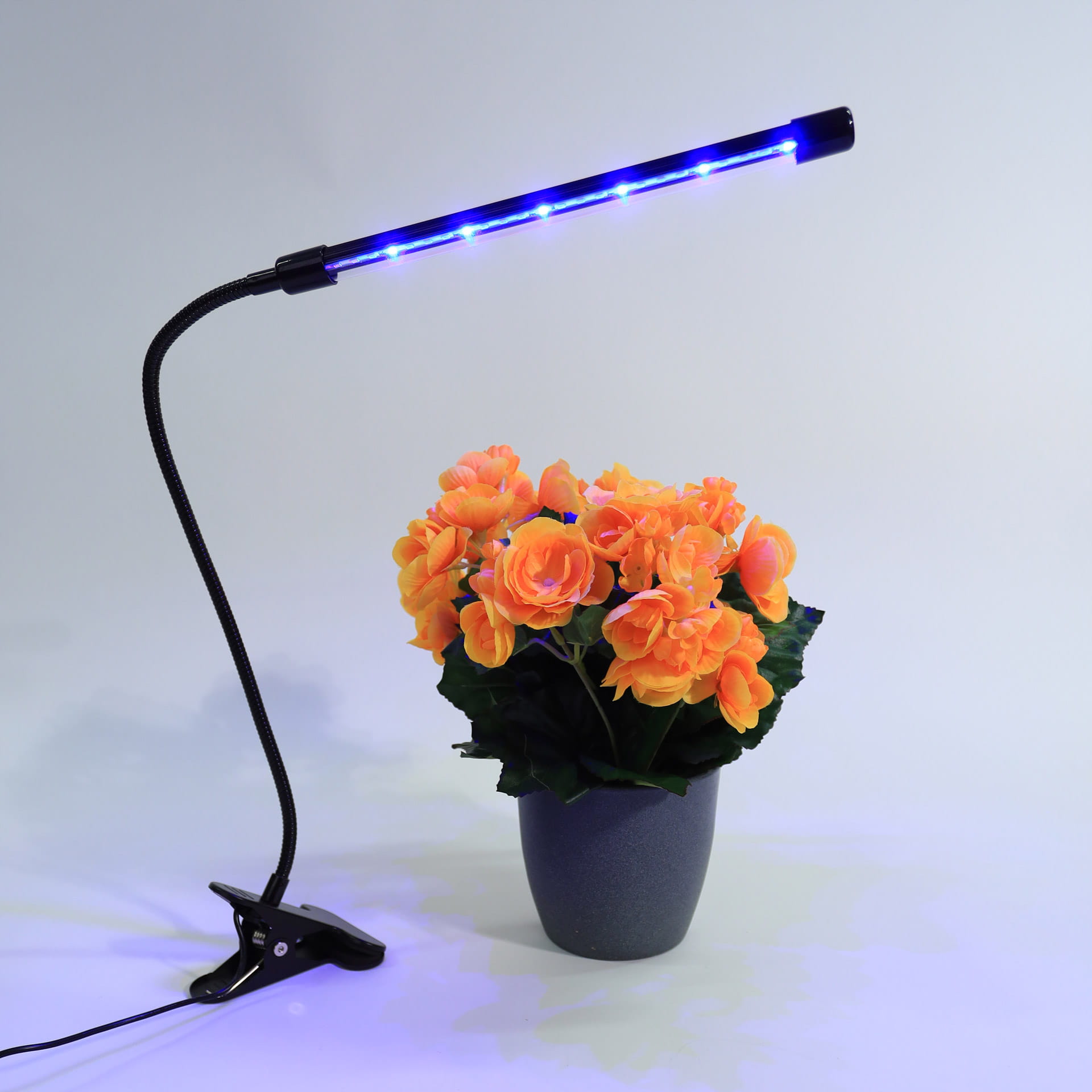 PLATINET Lampa do wzrostu roślin 45834 PDLGL3 klips 3W - Henryx24
