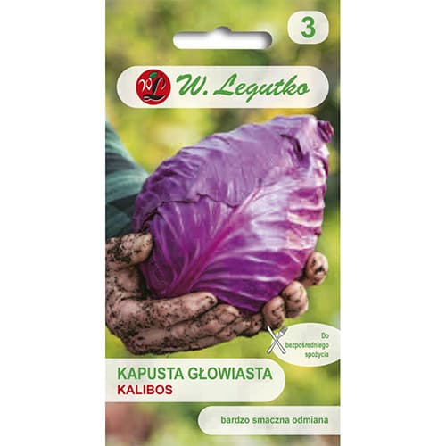 1 szt, Kapusta czerwona Kalibos - Nasiona: Ilość w opakowaniu: 0.5 g