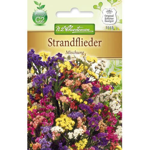 1 pac, Limonium sinuatum (Sărăturică), mix multicolor - Semințe: Mod de ambalare: 1 pac