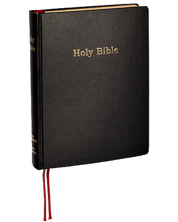Adam Broomberg & Oliver Chanarin. Holy Bible