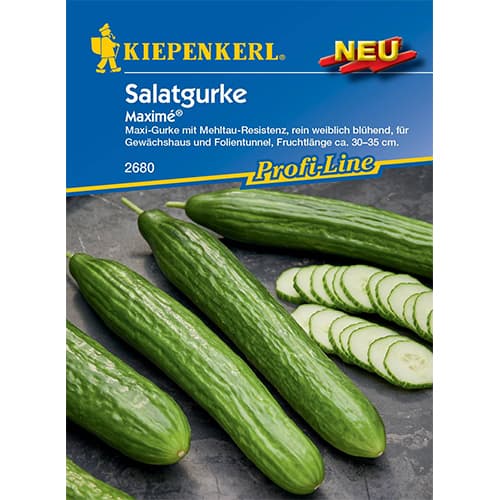 1 szt, Ogorek Maxime F1 - Nasiona: Ilość w opakowaniu: 10 szt.