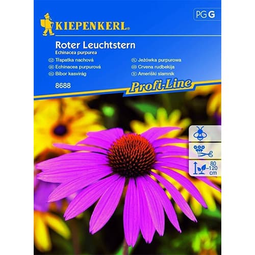 1 pac, Echinacea Roter Leuchtstern - Semințe: Mod de ambalare: 1 pac