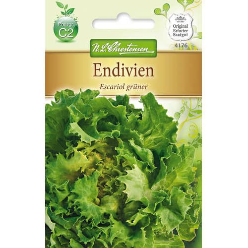 1 szt, Endívia Escariol gruner - Magok: Mod de ambalare: 1 db
