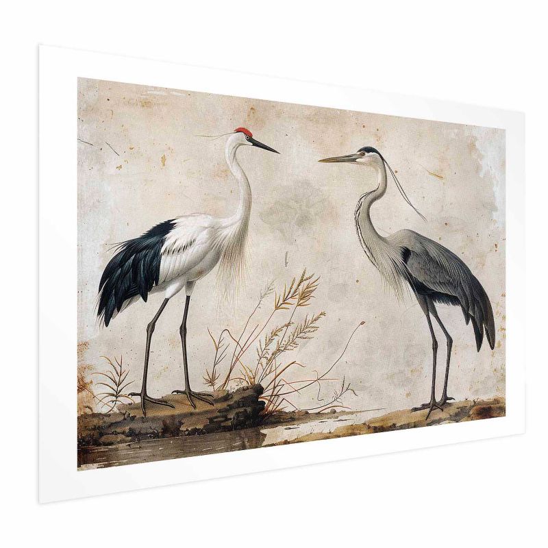 Plakat Artgeist Ptaki z ryciny 60x40 cm bez ramy 1 szt