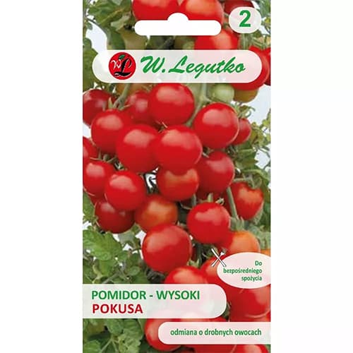 1 szt, Tomate Pokusa - Samen: Ilość w opakowaniu: 0.6 g