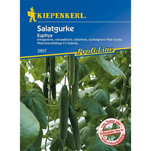 1 pac, Castraveți de salată Euphya F1 - Semințe: Mod de ambalare: 1 pac