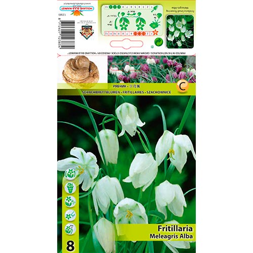 8 buc, Lalea imperială (Fritillaria) Meleagris Alba - Bulbi: Mod de ambalare: 8 buc