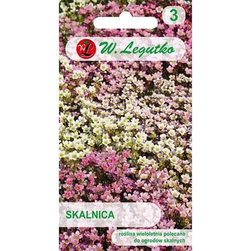 1 pac, Saxifraga, mix multicolor - Semințe: Mod de ambalare: 0.1 g