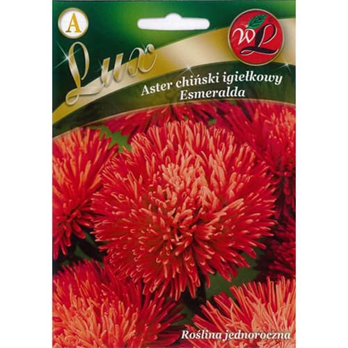 1 szt, Aster Esmeralda rot - Samen: Ilość w opakowaniu: 0.5 g