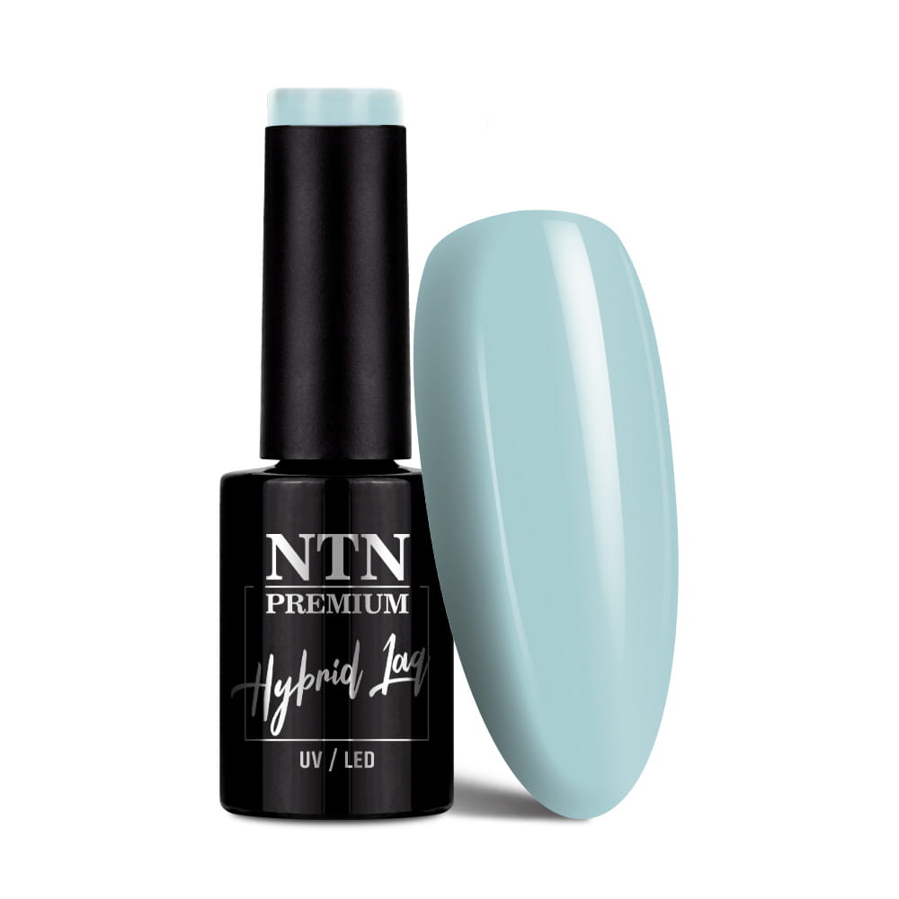 Lakier hybrydowy NTN Premium Limited Edition 5g Nr 422