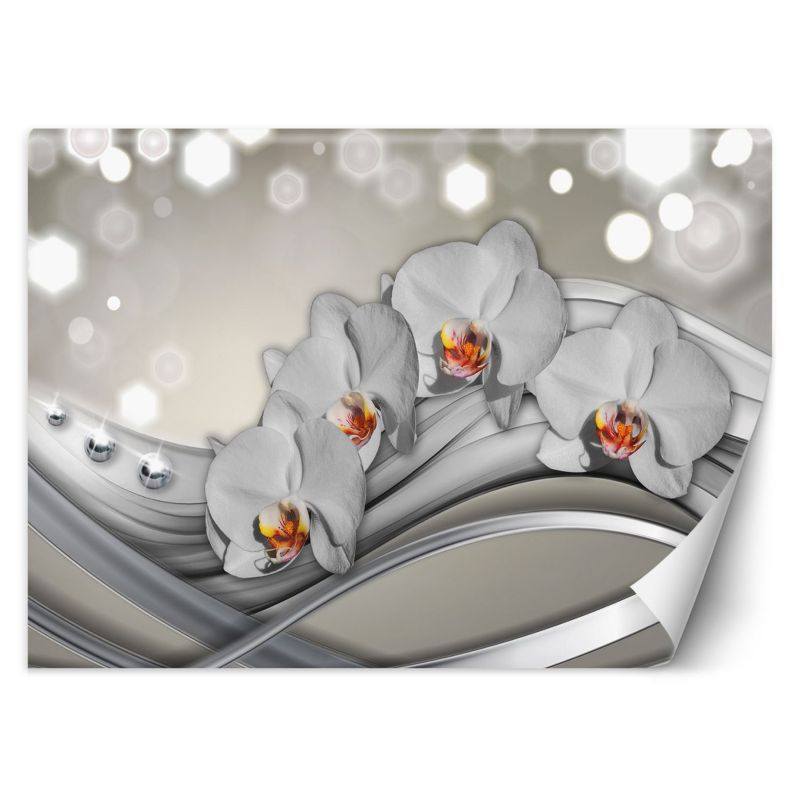 Fototapeta Feeby Orchidea abstrakcja 350x245 1 szt