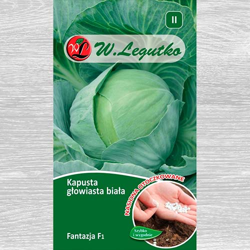 1 szt, Kapusta głowiasta biała Fantazja F1 - Nasiona: Ilość w opakowaniu: 100 szt