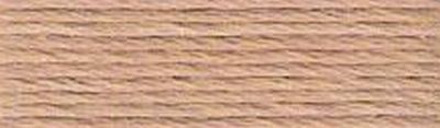 mulina DMC kol.3864