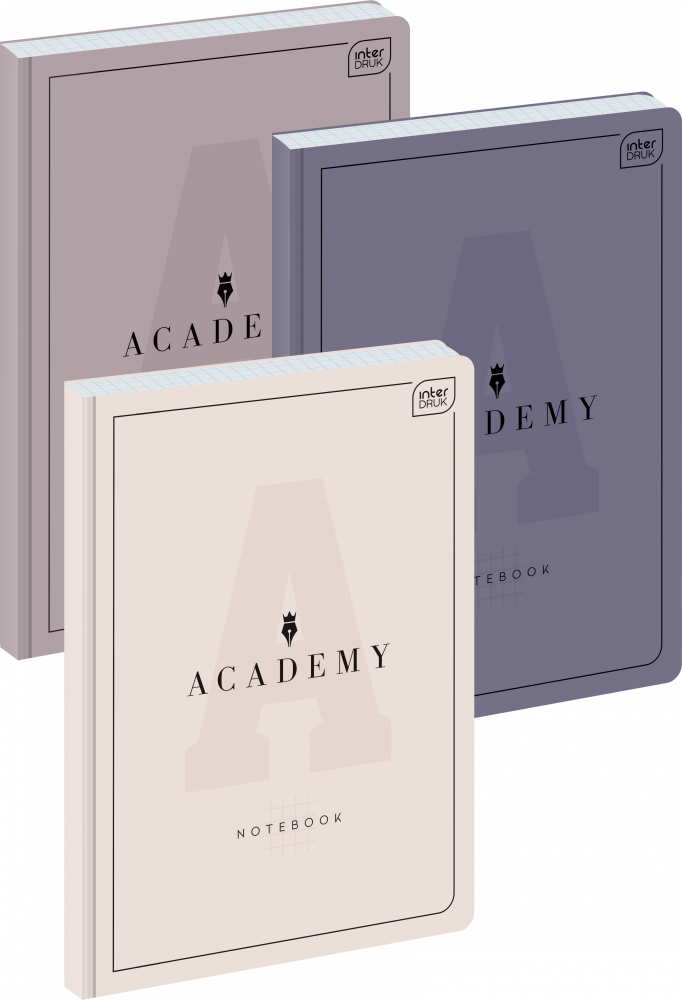 Brulion Interdruk Academy, w kratkę, A5, 96 kartek, 3 sztuki, mix kolorów