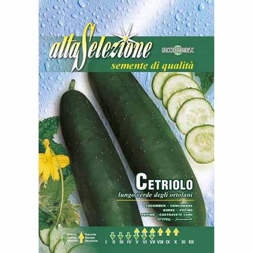 1 szt, Uborka Lungo verde degli ortolani - Magok: Mod de ambalare: 1 db