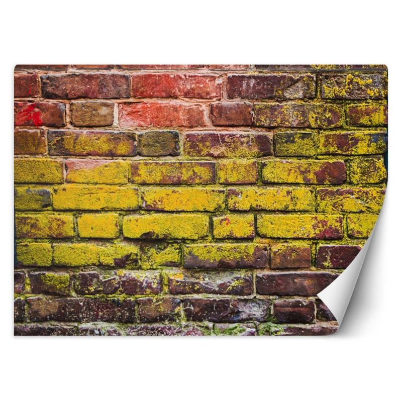 Fototapeta Feeby Stary mur z cegieł 100x70 1 szt
