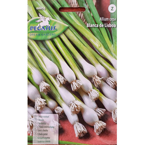 1 pac, Ceapă verde Blanca de Lisboa - Semințe: Mod de ambalare: 1 pac