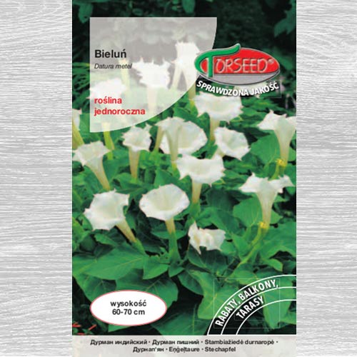 1 szt, Bieluń biały - Nasiona: Ilość w opakowaniu: 0.5 g