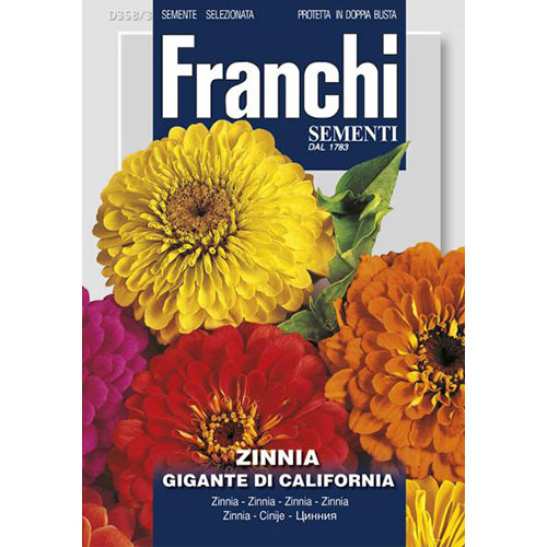 1 pac, Zinnia (Cârciumăreasă) gigantă de California - Semințe: Mod de ambalare: 3 g
