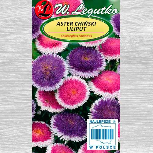 1 pac, Ochiul boului Liliput Moonshine, mix multicolor Legutko - Semințe: Mod de ambalare: 0.3 g