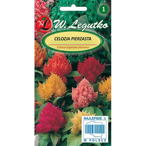 1 pac, Celosia (Creasta cocoșului), mix multicolor - Semințe: Mod de ambalare: 0.3 g