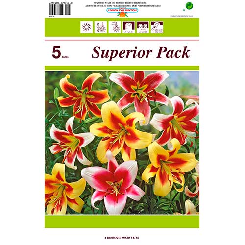 Ofertă specială! Crini uriași (OT-Hybrid), set de 5 soiuri - Bulbi: Mod de ambalare: 5 buc