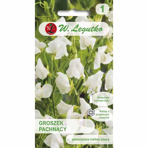 1 pac, Lathyrus odoratus (Sângele voinicului) alb - Semințe: Mod de ambalare: 3 g