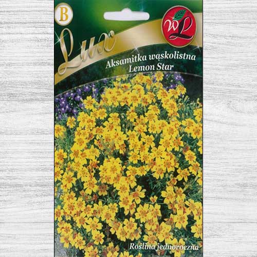1 pac, Crăițe Lemon Star - Semințe: Mod de ambalare: 0.3 g