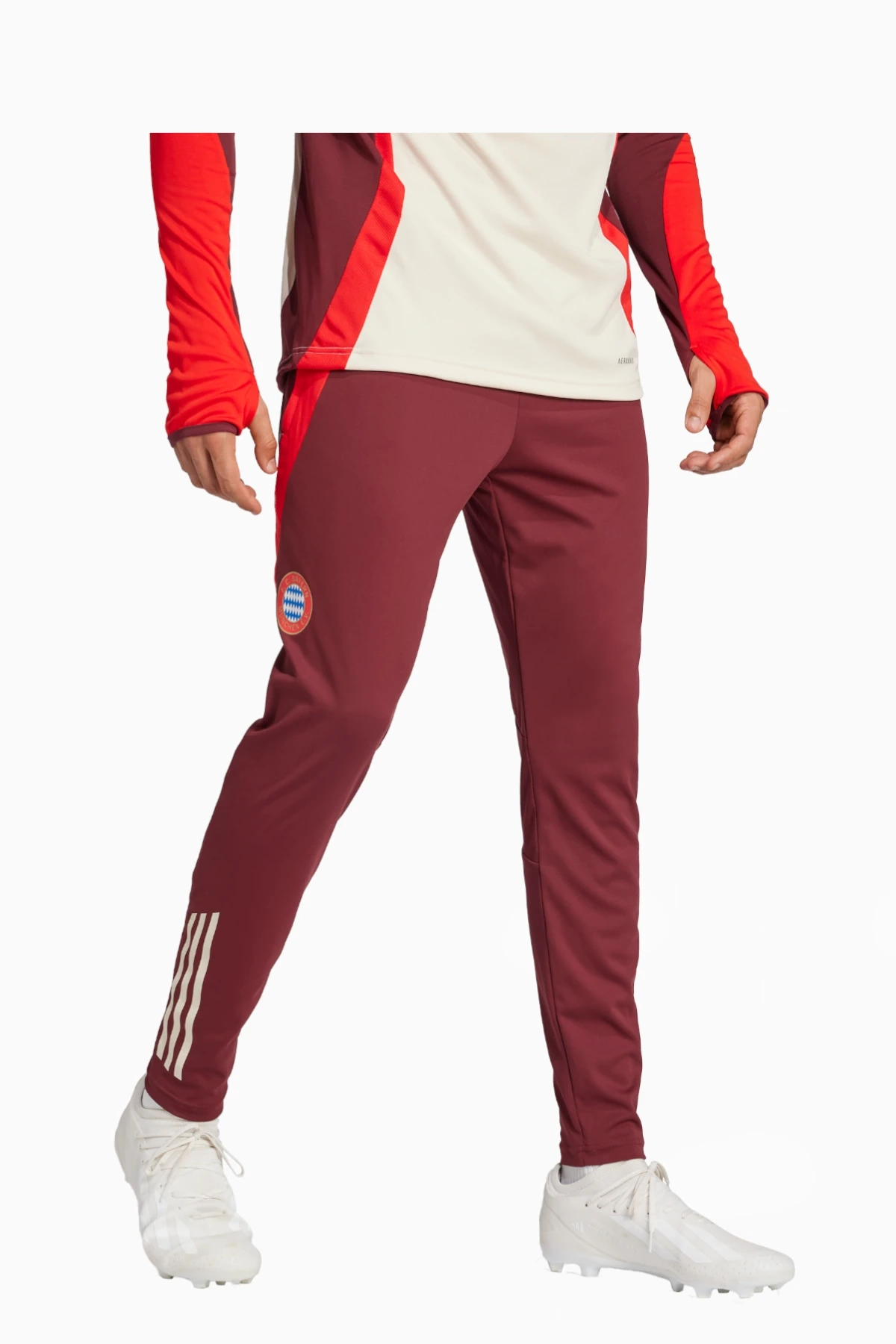 Spodnie adidas FC Bayern 24/25 Training - Bordowy