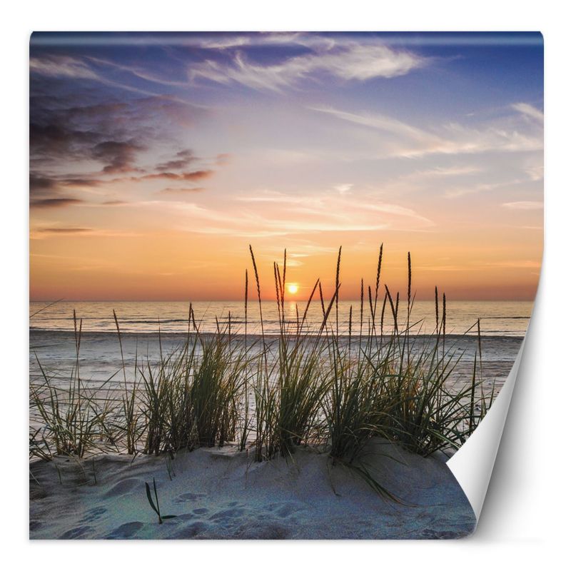 Fototapeta Feeby Plaża morze zachód słońca 200x200 1 szt