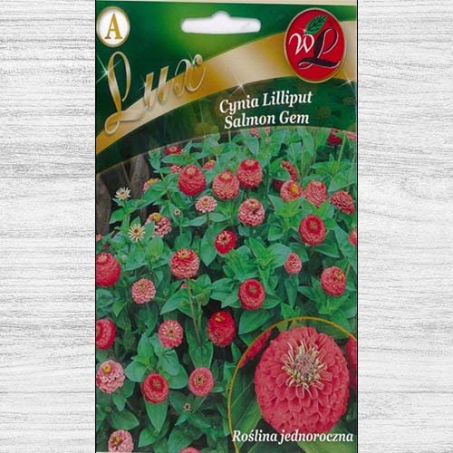 1 pac, Zinnia (Cârciumăreasă) Liliput Salmon Gem - Semințe: Mod de ambalare: 0.5 g