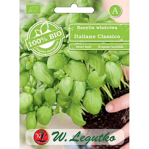 1 pac, Busuioc Italiano Classico - Semințe: Mod de ambalare: 0.5 g