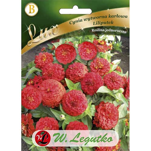 1 pac, Zinnia (Cârciumăreasă) Liliputek pitică roșie - Semințe: Mod de ambalare: 0.5 g