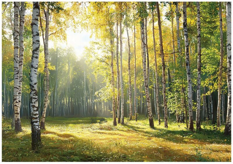 Fototapeta Las 3D Zielony Natura Do Salonu Sypialni WALLARENA 300x210 cm Tapeta Na Flizelinie 1 szt.