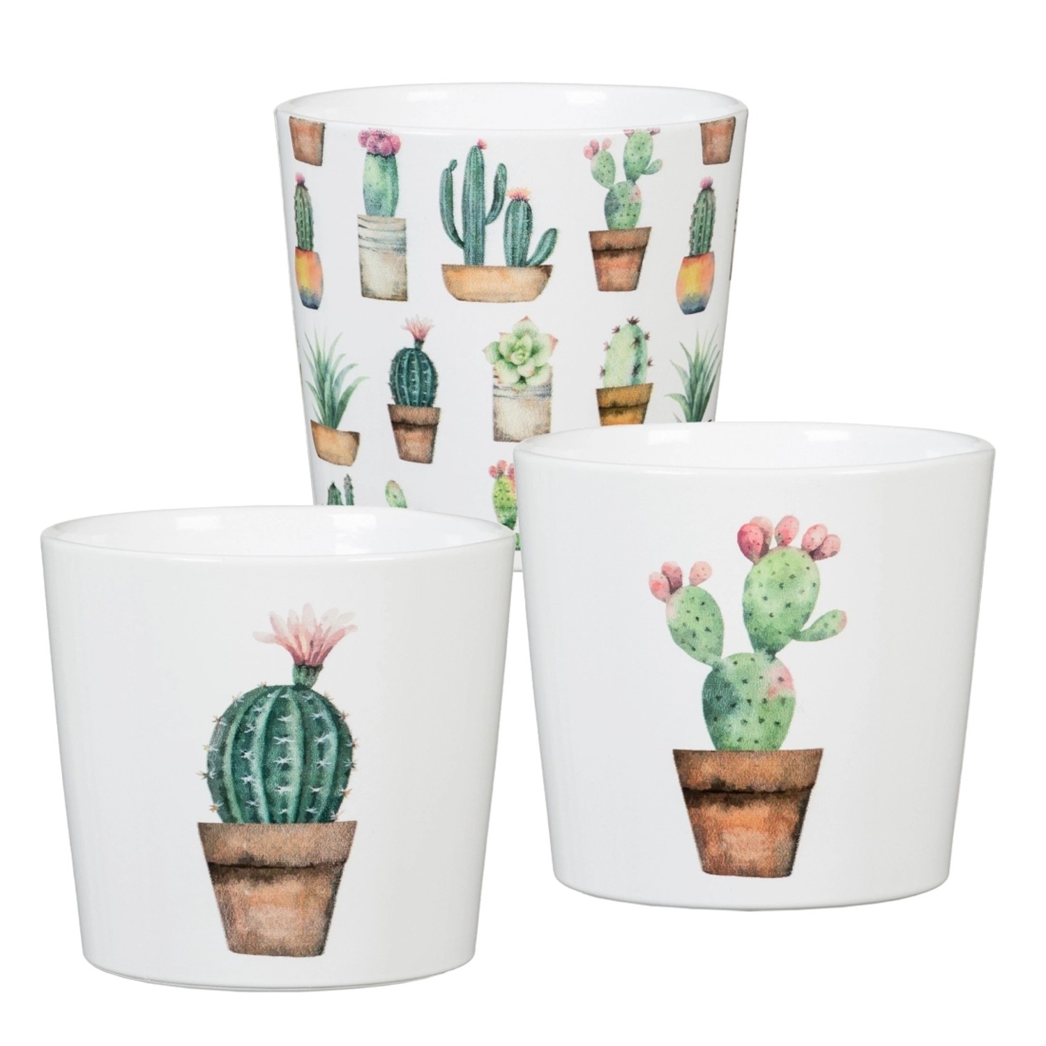 Scheurich Osłonka Cactus Garden - śr. 9 cm