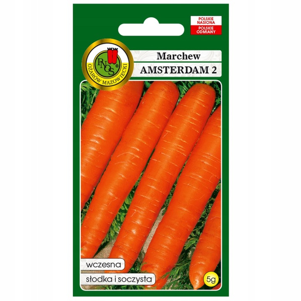 Nasiona Marchew Amsterdam 2,5g