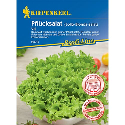 1 szt, Pflücksalat Vili - Samen: Ilość w opakowaniu: 1 Stück