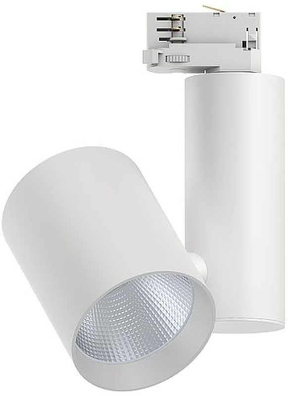 Paulmann ProRail3 Zeuz lampa do szynoprzewodów 1x33W biała 91344