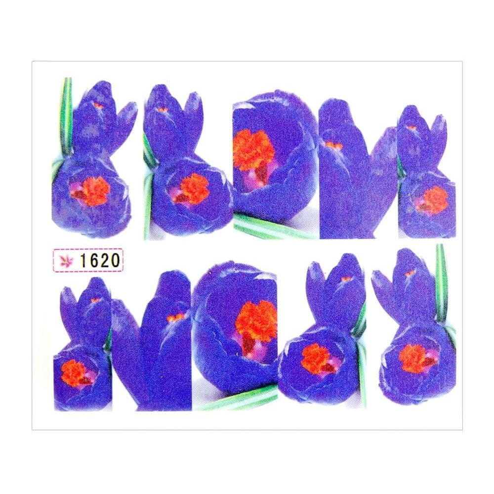 Naklejki wodne do paznokci arkusz 6,5 x 5,5 cm na 10 palców yb Nr 1620