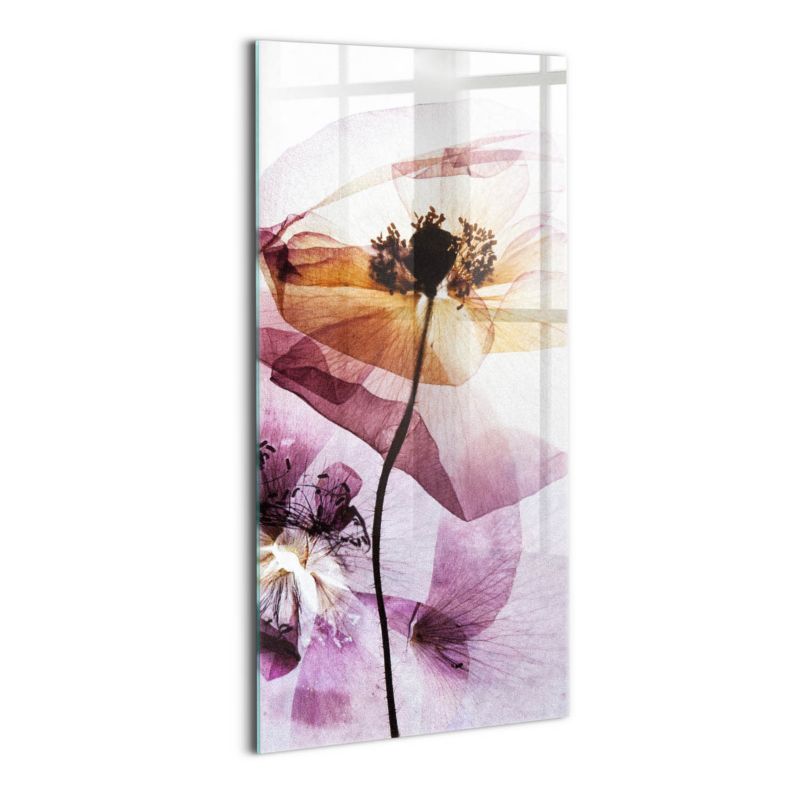 Foto Obraz Ścienny Szklany Wallfluent 50x100 cm Suche kwiaty maki 1 szt.