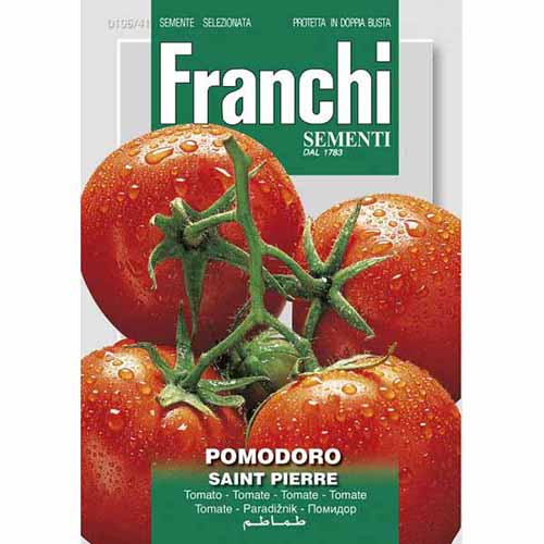 1 szt, Pomidor Saint Pierre Morami - Nasiona: Ilość w opakowaniu: 1.5 g