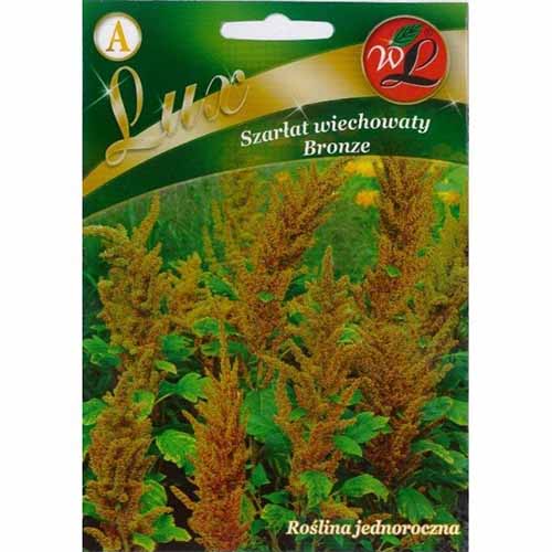 1 szt, Szarłat wiechowaty Bronze Legutko - Nasiona: Ilość w opakowaniu: 0.5 g