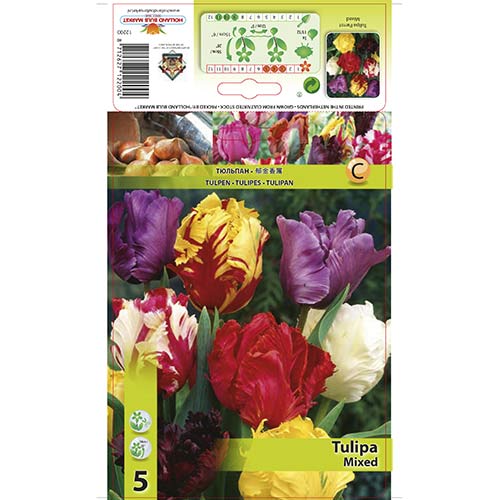 Tulipan papuzi, mix kolorów - Cebule: Ilość w opakowaniu: 5 szt.