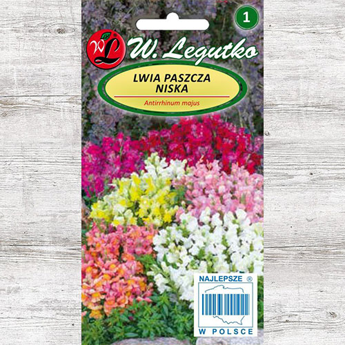 1 szt, Lwia paszcza niska, mieszanka Legutko - Nasiona: Ilość w opakowaniu: 0.5 g