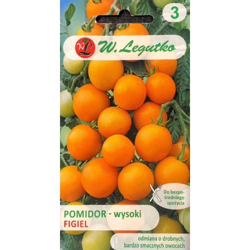 1 szt, Pomidor cherry Figiel - Nasiona: Ilość w opakowaniu: 0.5 g